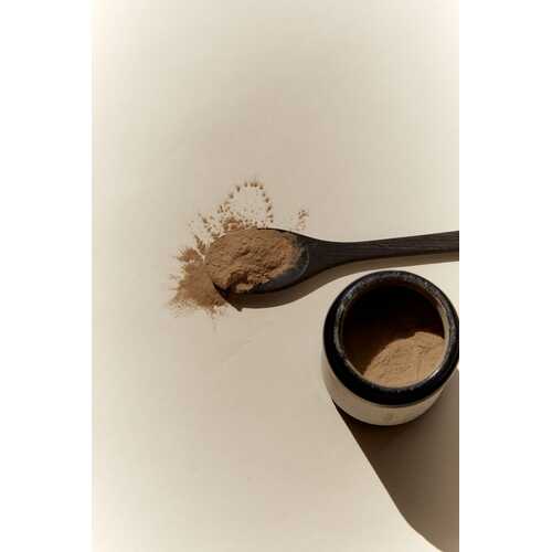 Lion's Mane Extract 100g