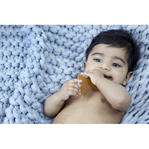 Fish Teether & Soother