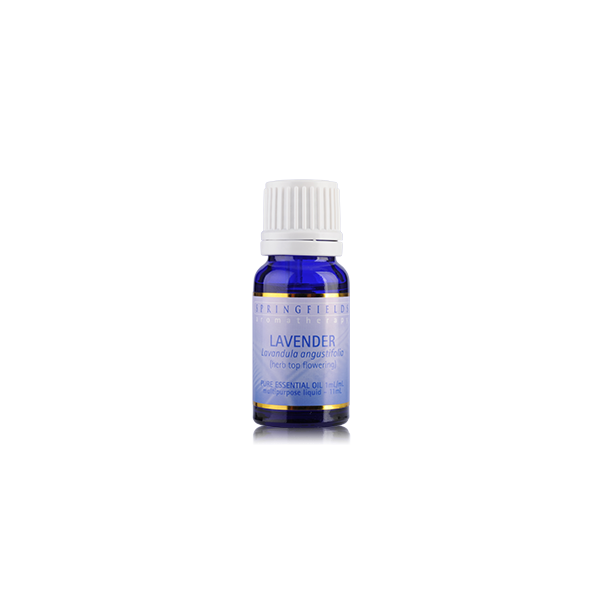 Lavender French Essential Oil 11ml