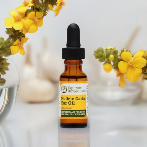 Mullein Garlic Ear Oil (15ml) by Equinox Botanicals