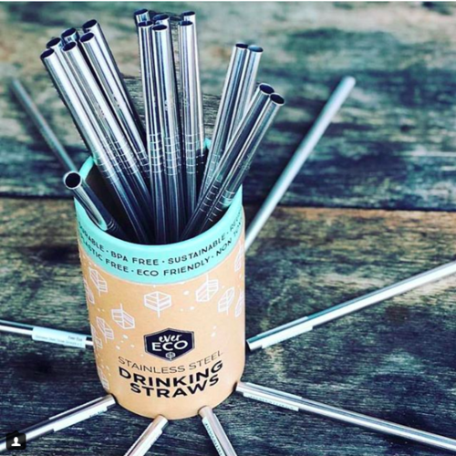 Ever Eco Stainless Steel Drinking Straw Bent (Single)
