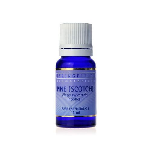 Pine (Scotch) Essential Oil 11ml by Springfields