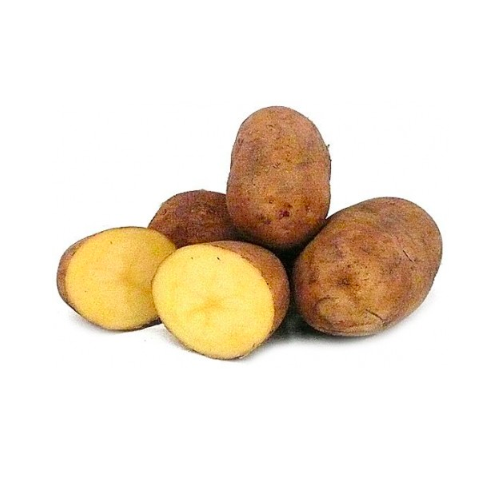 Potato Organic $4.00 /kg