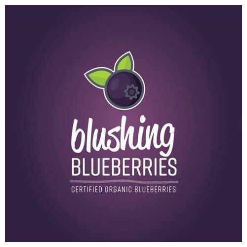 Blueberry Shrub Cordial Beverage 250ml