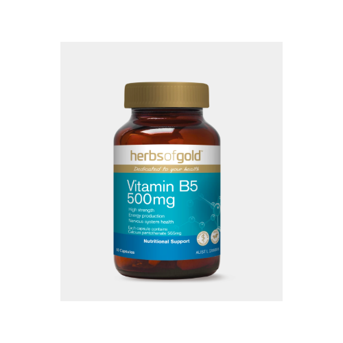 Vitamin B5 500Mg 60Vc by Herbs of Gold