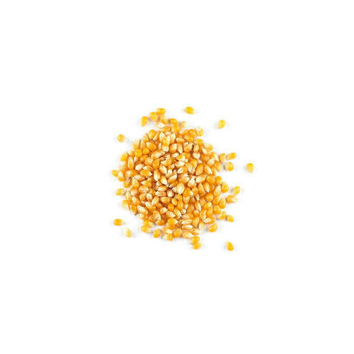 Corn Popping (AUS) Organic (Bulk) $19.95 per / kg  by Nourished Earth Bulk