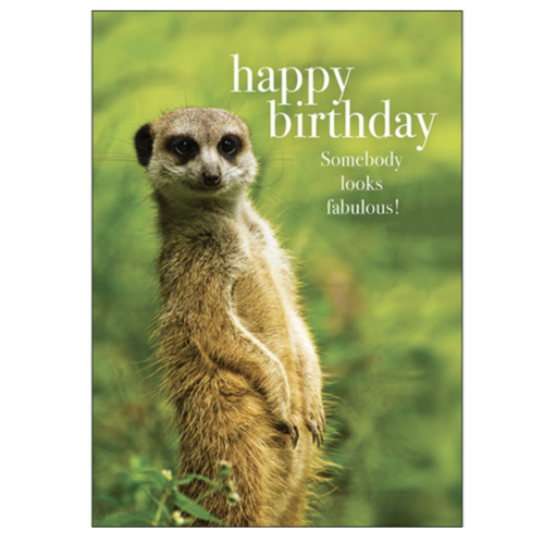 Happy Birthday Somebody Looks Fabulous