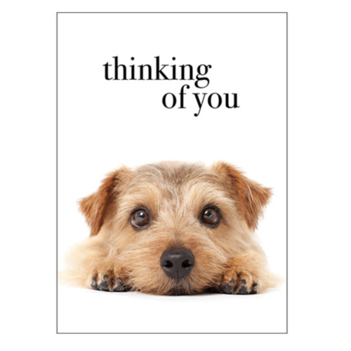 Thinking of You