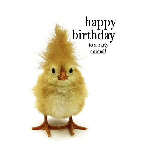 Happy Birthday to a party animal