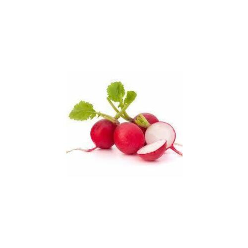Radish Certified Organic $4.20/ bunch