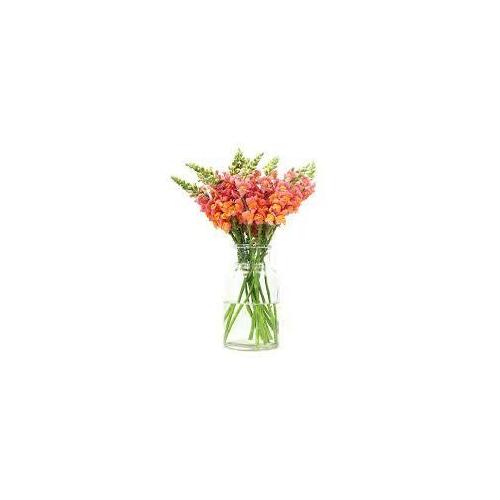 Local Flowers