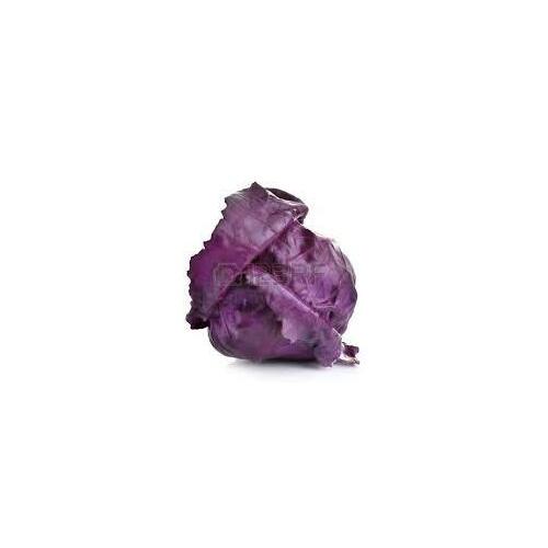 Cabbage (Red) Certified Organic (Whole)