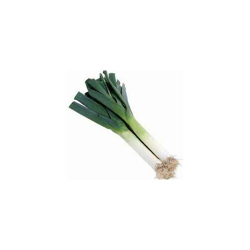 Leek Organic (each)