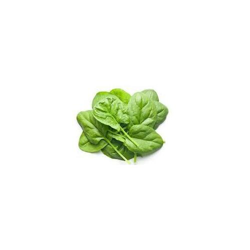 Organic Baby Spinach 120g (Punnet)