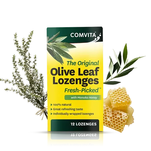 OLIVE LEAF Lozenges with Manuka Honey (12) by COMVITA