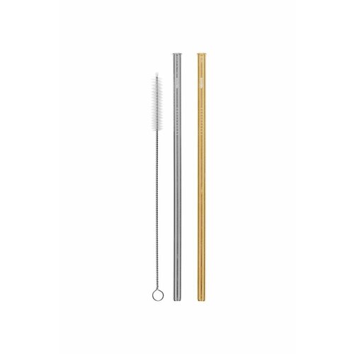 Drinking Straws 2 Pack Straight w Brush Silver/Gold