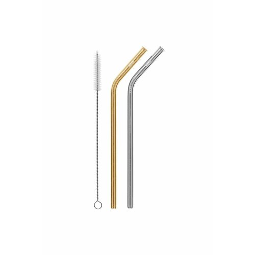 Drinking Straws 2 Pack Bent w Brush Silver/Gold