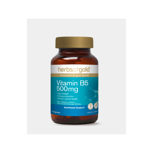 Vitamin B5 500Mg 60Vc