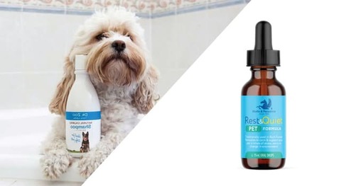 Pet Care