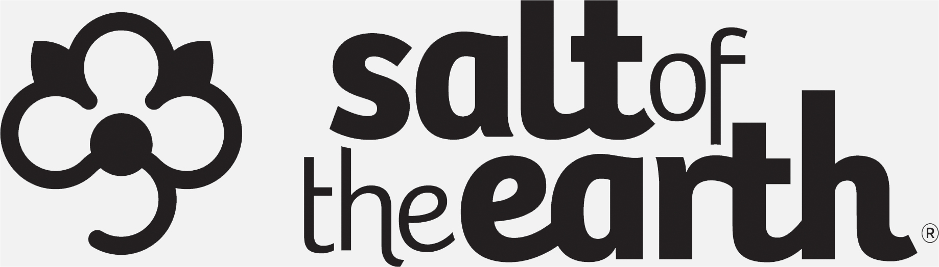 SALT OF THE EARTH