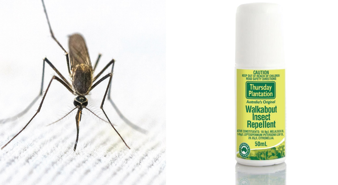 Insect Repellent