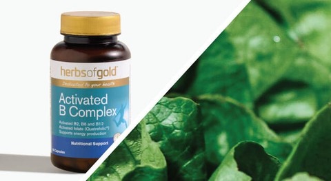 Vitamin Bs / B12