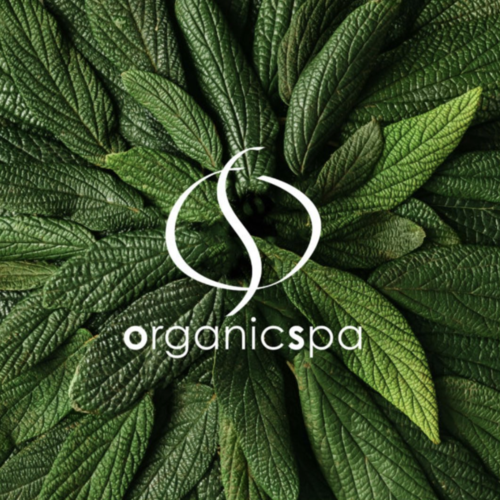 UNDERSTANDING ORGANICS. ALWAYS LOOK FOR THE LOGOS… main image